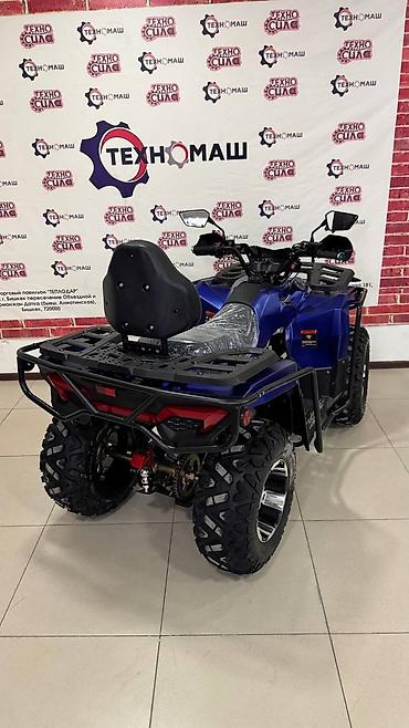 Квадроциклы: Квадроцикл Бензин, 320 куб. см, Взрослый — 7