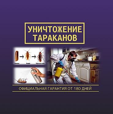 Дезинфекция, дезинсекция: Дезинфекция, дезинсекция, | Клопы, Блохи, Тараканы, | Транспорт, Офисы, Квартиры — 1