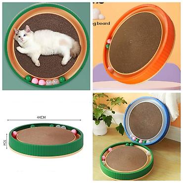 Зоотовары: Продаю новые в отличном качестве лотки крытые и открытые,а так же at lalafo.kg — 14 Зоотовары: Продаю новые в отличном качестве лотки крытые и открытые,а так же — 14