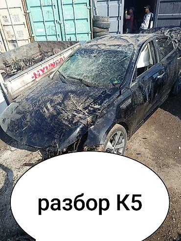ali osman: Разбор К5 и оптима — 1