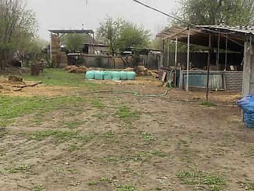 Продажа коттеджей и домов: Продается дом 🏡 Село Маловодное Школа детский сад, магазины — 14