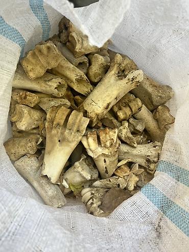 куриные потраха: Кости животных в мешках - Сырьё: натуральные животные кости — 1