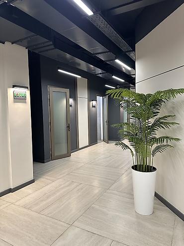 Сдаю Офисный кабинет: 64 м², В бизнес центре, С ремонтом