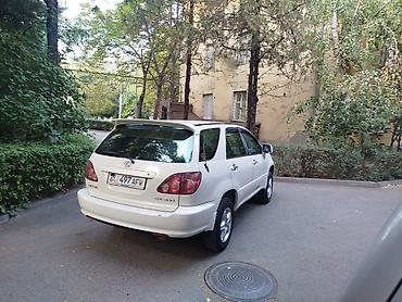 rx 400: Lexus RX: 2000 г., 3 л, Автомат, Бензин, Кроссовер — 2