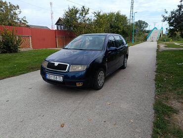 Skoda: Skoda Fabia: 1.4 l | 2002 г. | 200000 km. Minibus