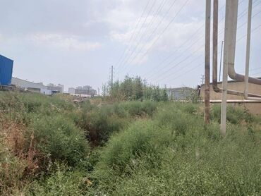 Torpaq sahələrinin satışı: 10 sot, Tikinti, Bələdiyyə — 3