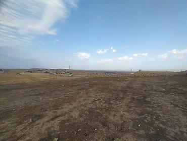 Torpaq sahələrinin satışı: 12 sot, Kupça (Çıxarış) — 2