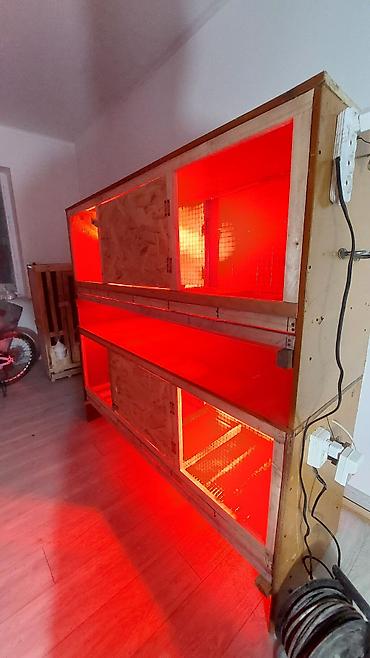 Товары и оборудование для с/х животных: Прошу уточнять наличие и читать внимательно, Брудер для — 2