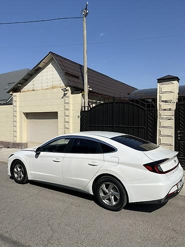 sonata 2003: Hyundai Sonata: 2019 г., 2 л, Автомат, Бензин, Седан — 4