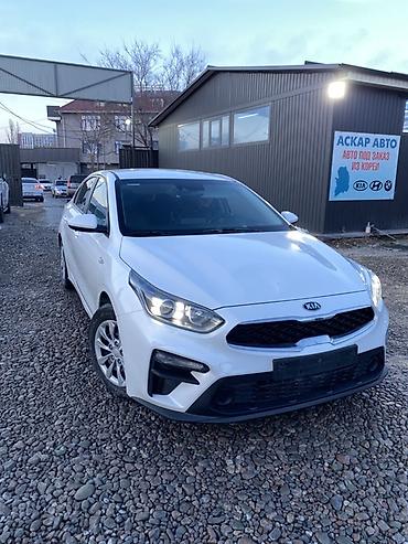 Kia: Kia K3: 2020 г., 1.6 л, Автомат, Бензин, Седан — 2