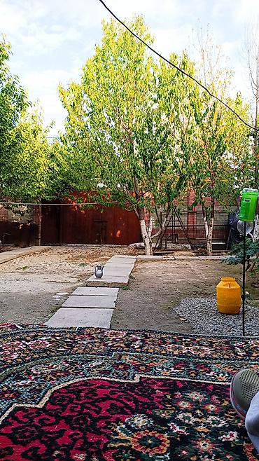 Продажа домов: 6 комнат и более, 600 м², 6 соток, Селекционное, Собственник — 5