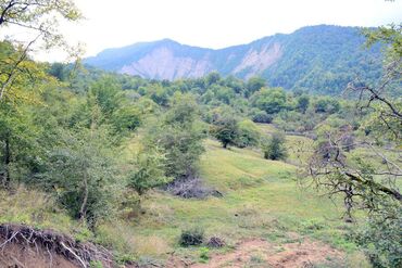 Torpaq sahələrinin satışı: 80 sot, Biznes üçün, Barter mümkündür, Kupça (Çıxarış) — 7
