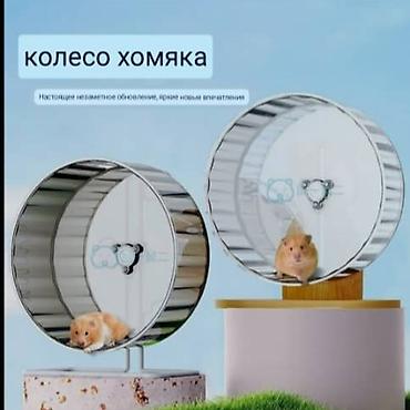 ош ишкаван: Прозрачное беговое колесо для грызунов - Подходит для сирийских — 4