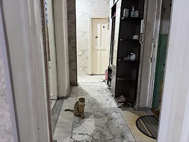 Продажа квартир: 2 комнаты, 45 м², Молодая Гвардия Сталинка, 3 этаж, Свежий ремонт — 4