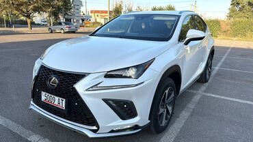 lexus 570 2019: Lexus NX: 2018 г., 2 л, Автомат, Бензин, Кроссовер