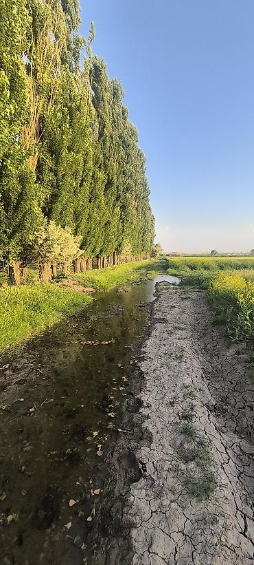 Продажа участков: 100 соток, Для сельского хозяйства — 10