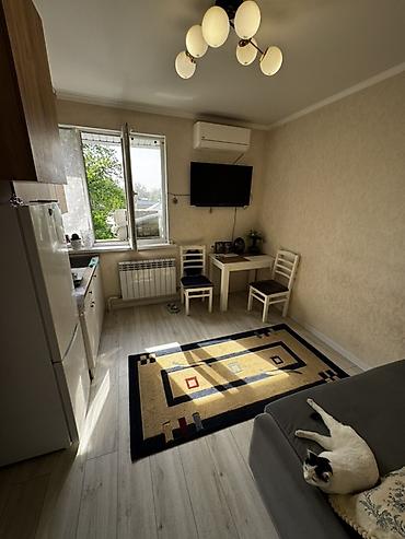 Продажа квартир: 1 комната, 18 м², Элитка, 3 этаж, Евроремонт — 2
