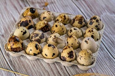 Птицы: Перепелинный Яйцо 
оптом 6 сом. Инкубацённый яйцо 7