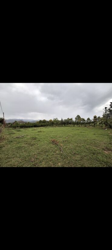 Torpaq sahələrinin satışı: 15 sot, Mülkiyyətçi, Kupça (Çıxarış) -da lalafo.az — 8 Torpaq sahələrinin satışı: 15 sot, Mülkiyyətçi, Kupça (Çıxarış) — 8