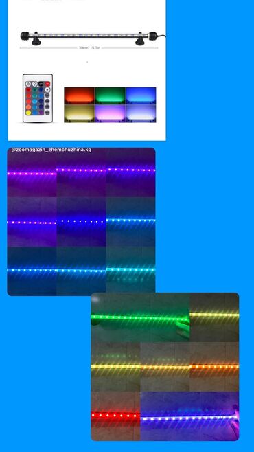 Аквариумы: Рыбки | Аквариумы | Оборудование | Аксессуары | Растения Богатый опыт — 19