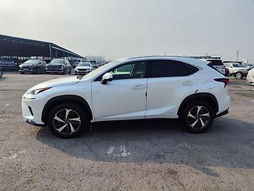 Lexus: Lexus NX: 2019 г., Гибрид, Кроссовер — 3