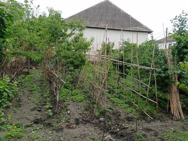 Həyət evləri və villaların satışı: 5 otaqlı, 140 kv. m, Orta təmir — 20