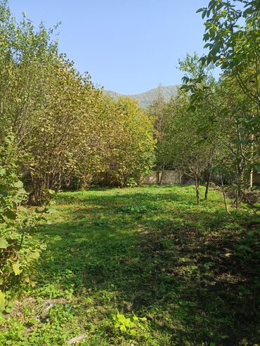 Torpaq sahələrinin satışı: 10 sot, Tikinti, Barter mümkündür, Kupça (Çıxarış) -da lalafo.az — 5 Torpaq sahələrinin satışı: 10 sot, Tikinti, Barter mümkündür, Kupça (Çıxarış) — 5