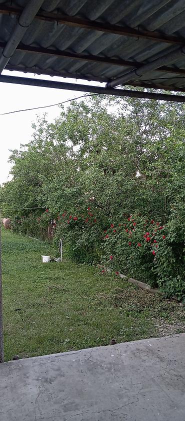 muşfiqabad torpaq: 15 sot, Mülkiyyətçi, Kupça (Çıxarış) — 7