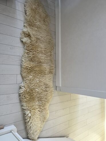 sumax xalca: Xalça Dekorativ, Kredit yoxdur