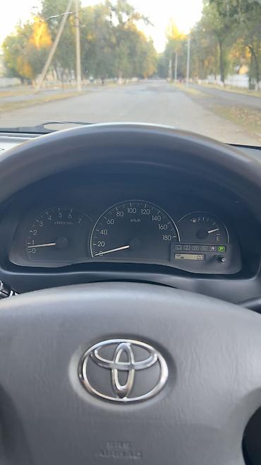 Toyota: Toyota Ipsum: 2001 г., 2.4 л, Автомат, Газ, Минивэн — 12