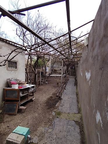Недвижимость: Баладжары 1 комната, 50 м², Нет кредита, Без ремонта — 1