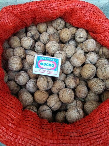 Сухофрукты, орехи, снеки: Продаю: Грецкие орехи, со своего огорода, тонкокорые, урожай этой