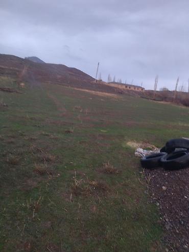 Torpaq sahələrinin satışı: Tikinti — 12