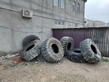 traktor şin: Tikinti texnikasinin tekerleri
demek olarki yeni tekerlerdir — 7