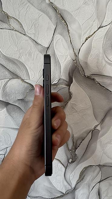 ipad mini4: IPhone 17, Новый, 256 ГБ, Черный, Чехол, 100 % — 4