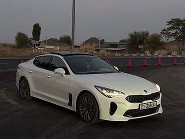 rexston khan: Kia Stinger: 2018 г., 2 л, Автомат, Бензин, Фастбек — 1