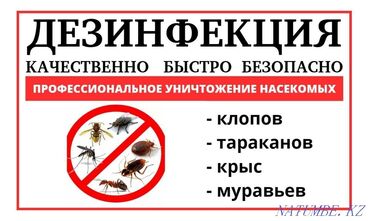обработка квартиры от клопов: Ассаламу алейкум!Бишкек жана Чуйдогу мекендештер. Дезинфекция