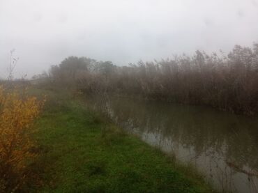 Torpaq sahələrinin satışı: 400 sot, Kənd təsərrüfatı, Maklerlər narahat etməsin — 4