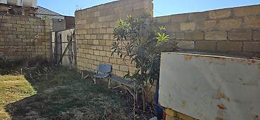 Torpaq sahələrinin satışı: Kənd təsərrüfatı, Kupça (Çıxarış) — 5