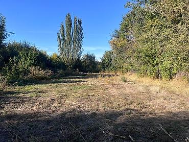 бизнес аксессуары: 5 комнат, 3600 м², 3600 соток, Петровка, Собственник — 9