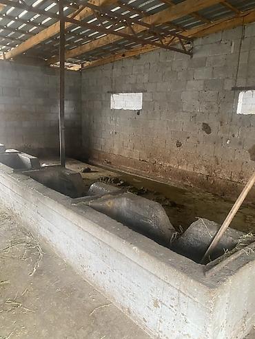 Гарнитуры для зала: Гарнитур для зала, Диван, цвет - Серый at lalafo.kg — 22 Гарнитуры для зала: Гарнитур для зала, Диван, цвет - Серый — 22