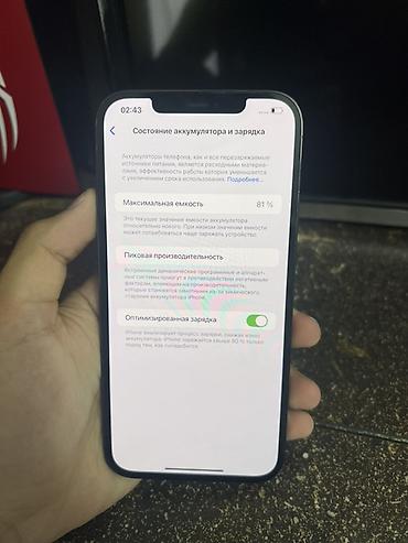 Apple iPhone: IPhone 12 Pro Max, Б/у, 256 ГБ, Pacific Blue, 81 % — 9