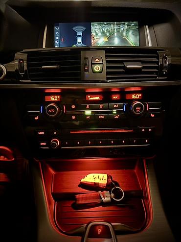 рещётка: BMW X4: 2017 г., 3 л, Автомат, Бензин, Купе — 10
