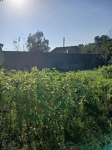 kiraye ev merdekan: 4 sot, Tikinti, Kupça (Çıxarış) — 3