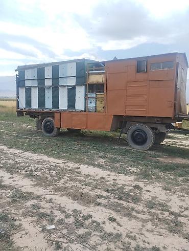 eafc 25: Пчелоплатформа - павильон,, срочная продажа без пчел, хорошее тех — 1