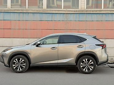 lexsus es: Lexus NX: 2020 г., Автомат, Кроссовер — 4