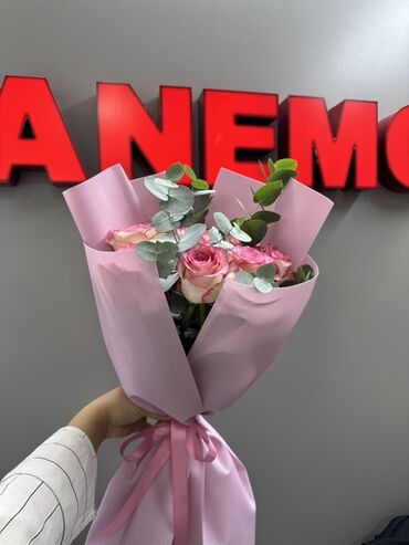 продажа осоо бишкек: Бизнес сатуу Төмөнкүлөр менен бирге: Кардарлар жана жеткирүүчүлөр базасы, Жабдуулар жана эмерек