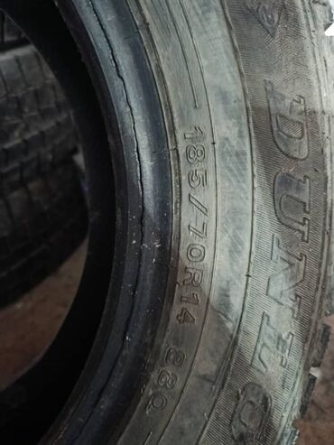 купить б у шины 185 70 r14: Шиналар 185 / 70 / R 14, Кыш, Комплект, Жеңил унаалар, Dunlop