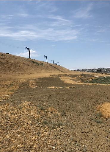 zabratda torpaq: 200 sot, Kənd təsərrüfatı, Mülkiyyətçi, Kupça (Çıxarış) — 2