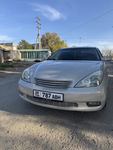 Lexus: Lexus ES: 2004 г., 3 л, Автомат, Газ, Седан